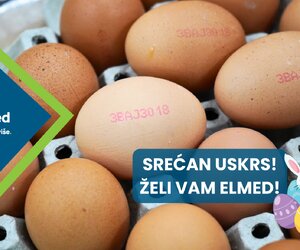 U susret Uskrsu: Domino vam donosi visokokvalitetne kodove za vaše proizvode